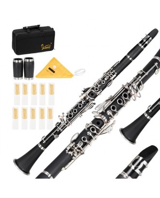 Glarry 17 Keys Flat B Black Clarinet with Two Mouthpieces Connector for Beginner Student