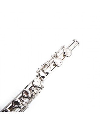 Nickel Plated C Closed Hole Concert Band Flute Silver