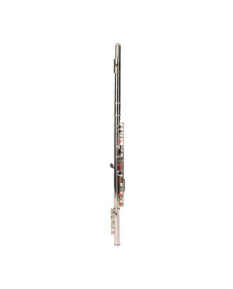 Nickel Plated C Closed Hole Concert Band Flute with E Key