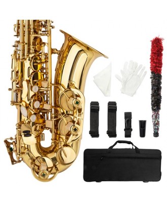 [US-W]Stylish Mid-range Alto Drop E Lacquered Golden Saxophone Painted Golden Tube with Carve Patterns